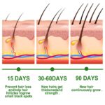 EELHOE Haarolie + Anti-Breuk Rozemarijn Essentiële Olie Haar 30ML